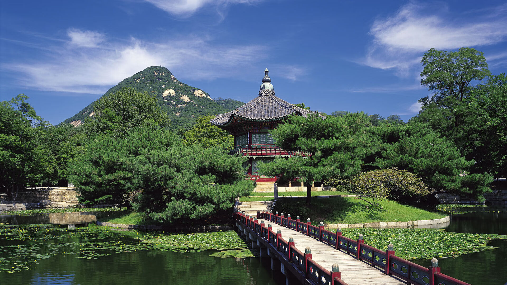 AYX GAMING-澳大利亚袋鼠队的传球和接球配合，如行云流水，袋鼠传球怎么玩