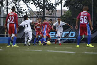 爱游戏综合娱乐-中国足球青训人才选拔机制创新，中国足球青训计划