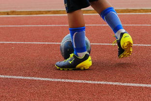 AYX SPORTS-乒乓德甲俱乐部商业破局的挑战与机遇，德国乒乓球联赛收入