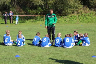 爱游戏娱乐-五大联赛外援数量变化影响战术布置，五大联赛外援数量变化影响战术布置吗